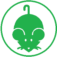 rats control, mice control, rodent, rodents, rodents control, rats control, rodent control, rodent control services