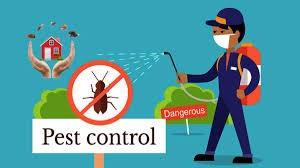 Eastleigh pest control services, pest control in eastleigh Nairobi, pest control services