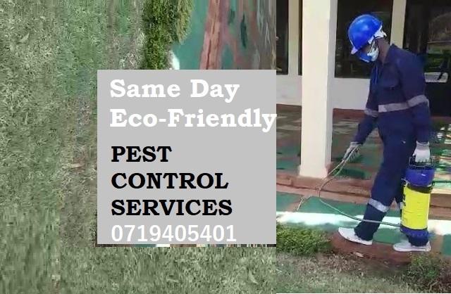 pest control services in Kenya, fumigation services in Kenya, fumigation company, pest control near me