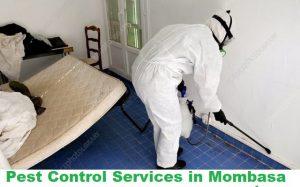 pest control services in Mombasa Kenya, pest control, fumigation services in Mombasa Kenya, pest control Mombasa