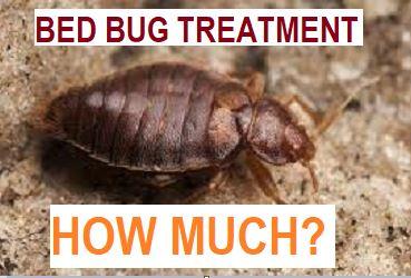 bed bug exterminator cost near me, bed bugs exterminator near me, cheap bed bug exterminator near me, bed bugs fumigation Kenya, best fumigation for bed bugs Kenya, pest control Kenya, fumigation services Kenya, Bed Bug Treatment Cost Kenya, Bed Bug Treatment Prices Kenya, Bed Bug Control Services Kenya, Bed Bug Treatments Kenya, bedbug fumigation cost Kenya, bedbug fumigation cost Kenya, bedbug extermination cost in Nairobi, how much does it cost to fumigate bedbugs in Kenya, bedbug treatment cost in Kenya, cost of bedbug removal in Nairobi, bedbug fumigation prices in Kenya, bedbug pest control cost in Kenya, fumigation cost for bedbugs in Nairobi,