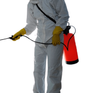 Mlolongo pest control, fumigation services in Mlolongo, pest control services in Mlolongo, fumigation services in Mlolongo