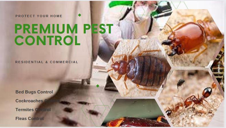 fumigation services near me, pest control near me, pest control services in Kenya, pest control services, Pest control services in Kenya, Pest control companies in Kenya, Fumigation services in Kenya, Pest control prices in Kenya, Pest control services near me, Fumigation services near me, Pest control companies near me, Professional pest control in Kenya, Termite control in Kenya, Rodent control in Kenya