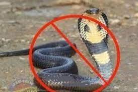 Snakes Control Services Kenya, Pest Control Services Kenya, Snake Removal Kenya, Snake Control Kenya