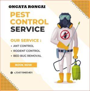 fumigation pest control services in Ongata Rongai, Pest control services in rongai prices, best Pest control services in rongai, fumigation services in Ongata Rongai, fumigation services in Rongai