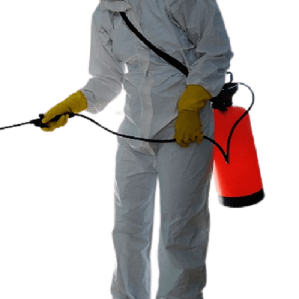 Pest Control and Fumigation Services in Ruiru, Eldoret and Thika, Pest Control and Fumigation Services in Ruiru, Pest Control and Fumigation Services in Eldoret, Pest Control and Fumigation Services in Thika